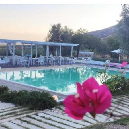 Rosarias Rooms Manfredonia Bagian luar foto